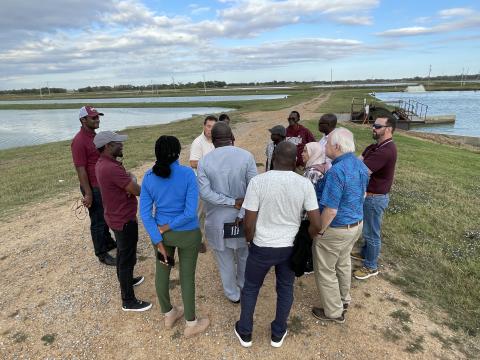 FAS SEP SPS Fellows Visit MSU Delta Research and Extension Center - Ponds