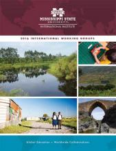 A collage of photos from around the world on the cover of the International Working Group Brochure